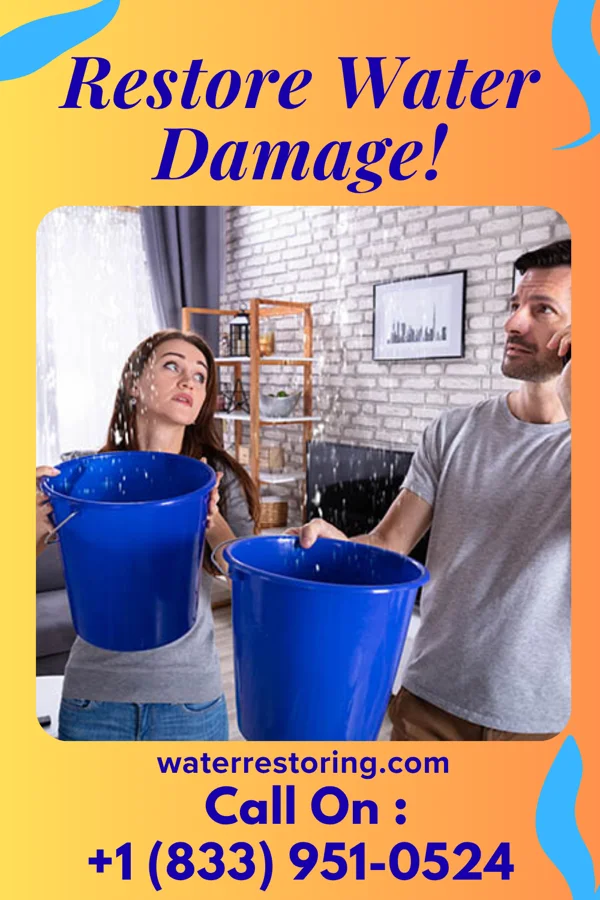 water restoration Quality Extraction LLC Brooklyn