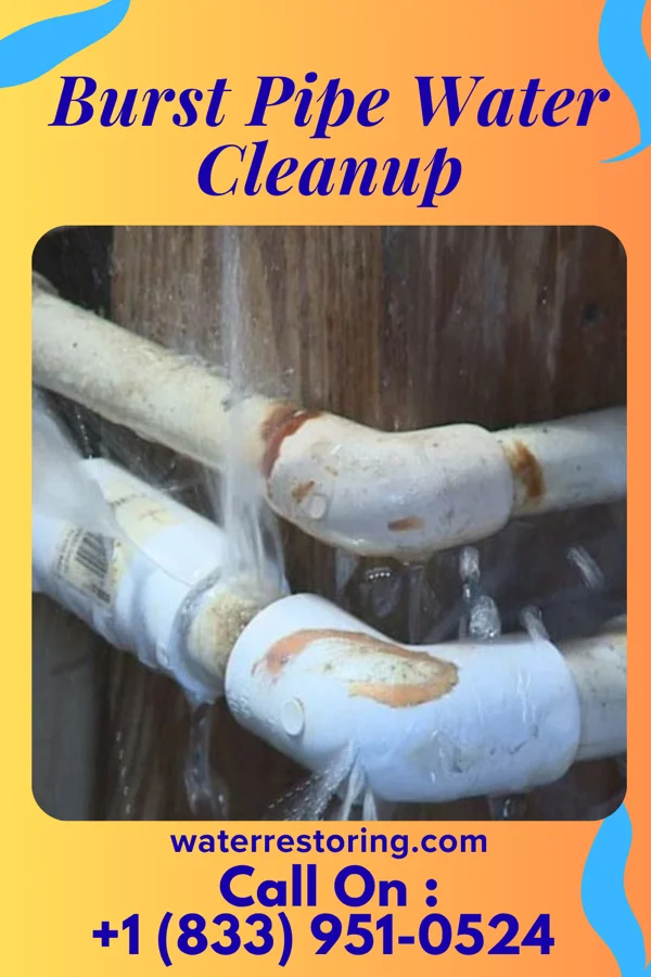 Burst Pipe Water Cleanup in Brooklyn, WI