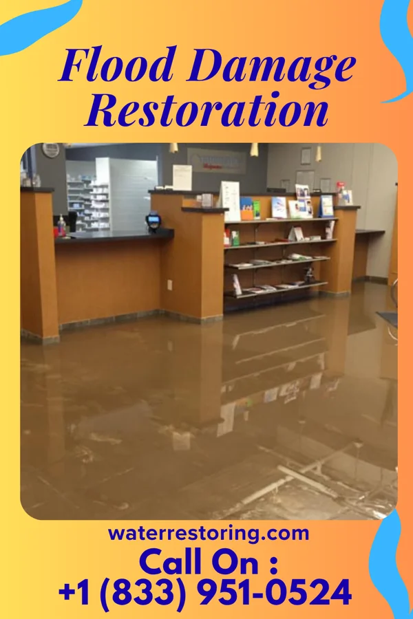 Flood Damage Restoration in Brooklyn, WI