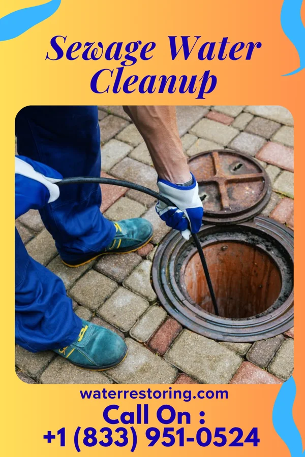 Sewage Water Cleanup in Brooklyn, WI