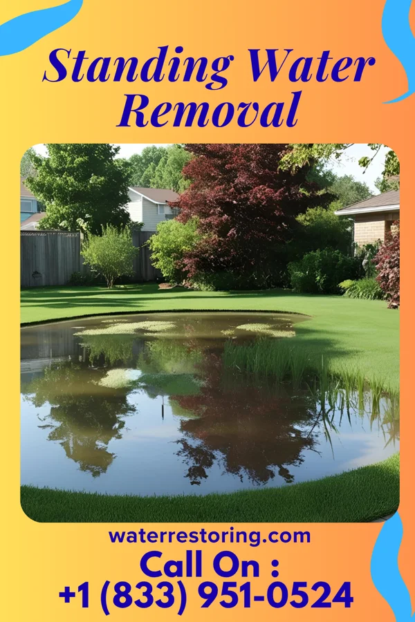 Standing Water Removal in Brooklyn, WI